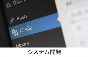 システム開発事業